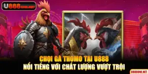 trực tiếp chọi gà thomo