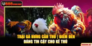 trại gà hưng cần thơ