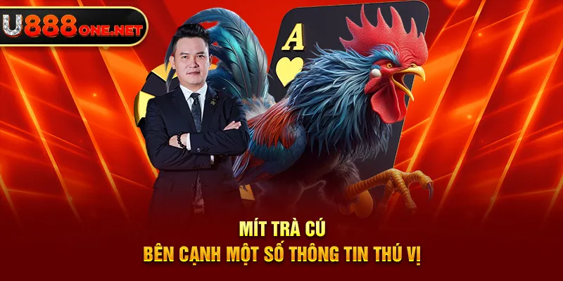 Mít Trà Cú bên cạnh một số thông tin thú vị