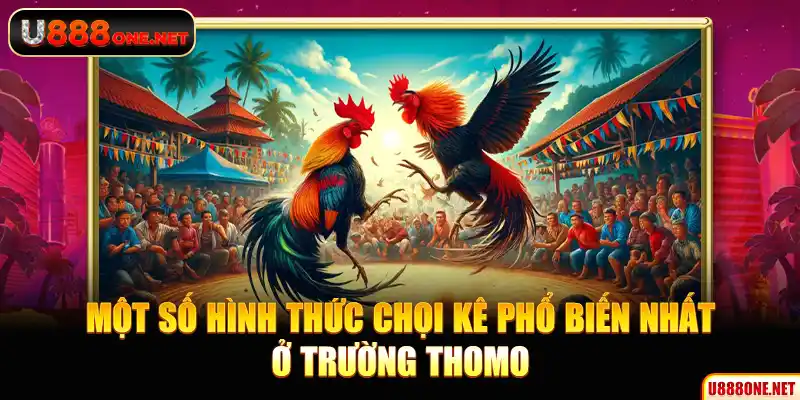 Một số hình thức chọi kê phổ biến nhất ở trường Thomo